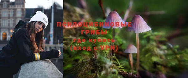 стаф Заволжье