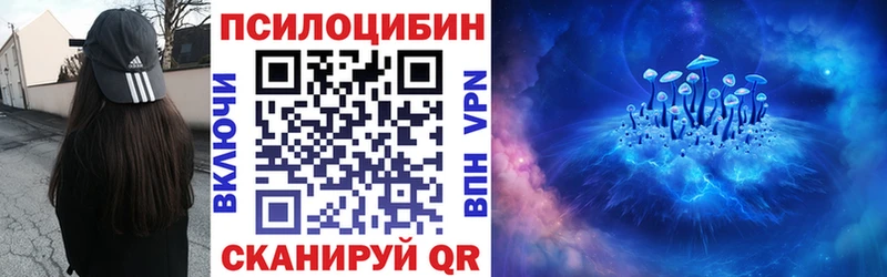 Купить закладки  Красавино  Псилоцибиновые грибы Psilocybe 